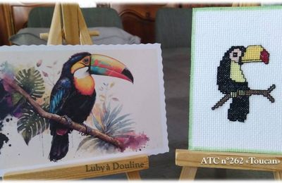 ATC "Toucan" chez Tortue
