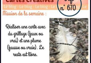 Passion cartes Créatives#670 ! 