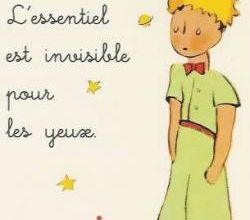 L'empathie, un peu, beaucoup, à la folie...