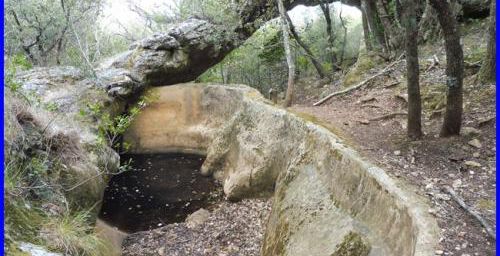 Quelques curiosités en forêt des Morières