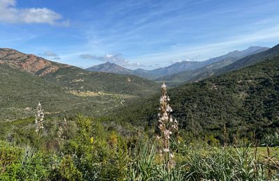 Balade au col de Palmarella - Galéria