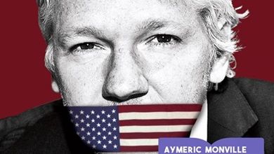Julian Assange est bien plus important que Navalny !!!