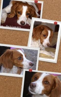 R I P    Elfy (soeur d'Emy)