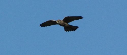 ... dans le ciel d'hiers...brouage...!