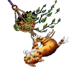 Association Nid 'Accueil