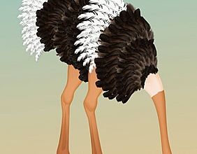 Surtout ne pas bouger