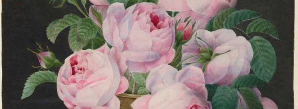 Samedi - Un thème un tableau : "Le rose dans tous ses états"