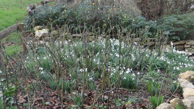 Sécateur Dégainé... Printemps bien Préparé !!