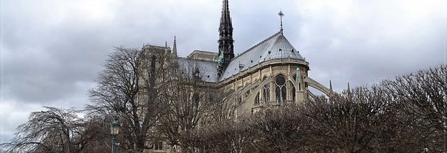 Notre Dame de Paris au cœur de l’Île de la Cité
