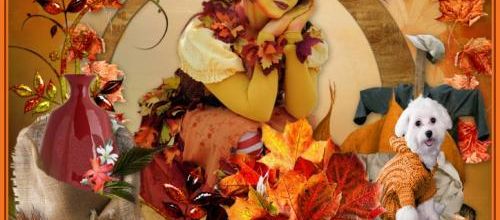  L'automne continu .