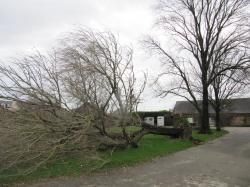Tempêtes : Christian et Dirk