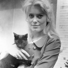 CATHERINE DENEUVE BOX OFFICE 