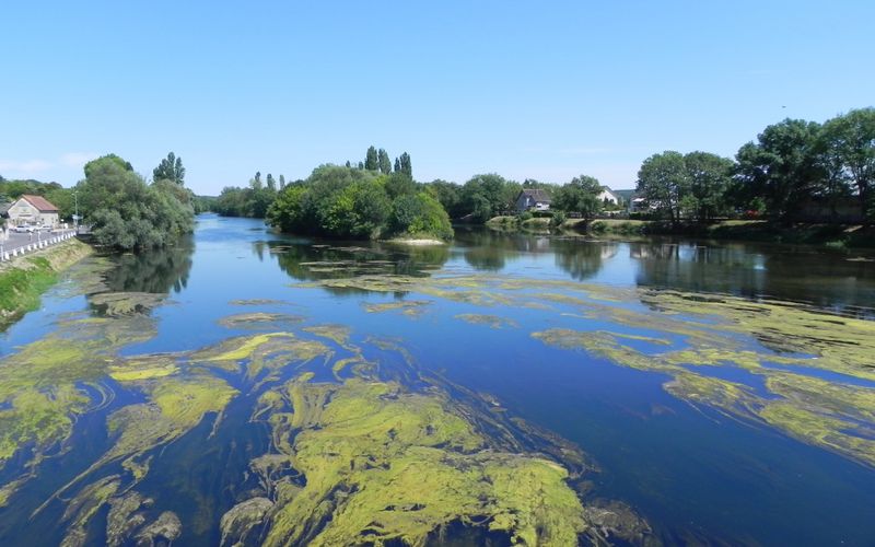 Décor naturel sur la rivière à Montrichard