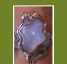 Descargar ebook PIEDRAS DE LUNA | Descarga Libros Gratis (PDF - EPUB)