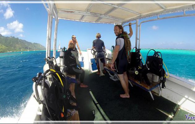 Retour de la plongée à l'entrée de la baie d'Opunohu - Moorea - Polynésie française