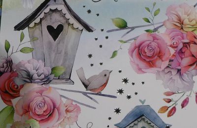 Deux jolies cartes pour mon anniversaire...