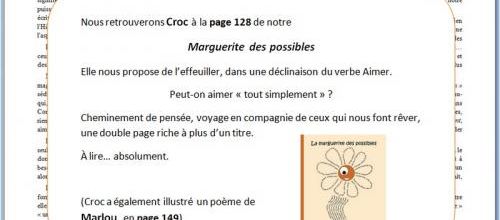 Une marguerite