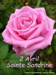 bon mercredi
