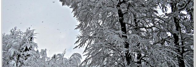 PAYSAGES  SOUS  LA  NEIGE  2018