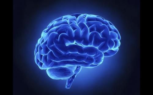 Le système lymphatique du cerveau