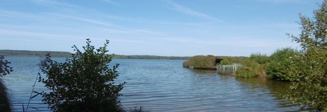 Une balade vers "mon" Lac, le 8 octobre (suite)...