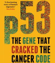 Ebooks free download for mac p53: The Gene that Cracked the Cancer Code 9781472910523 CHM by Sue Armstrong in English