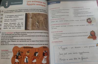 Voyage au fil de la langue avec les éditions Wellcom