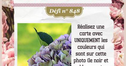 Passion Cartes Créatives#848 !