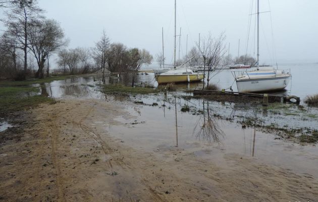 au lac de Sanguinet  en Mars 2014