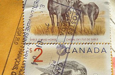 Les cadeaux de Catcent...