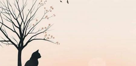 En rose et noir