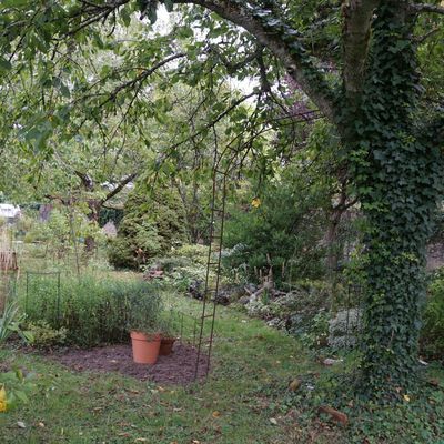 Pour quelques rosiers de plus