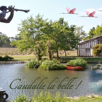  CAUDALIE la belle ... 