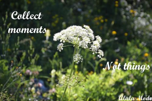 Collect moments not things #15