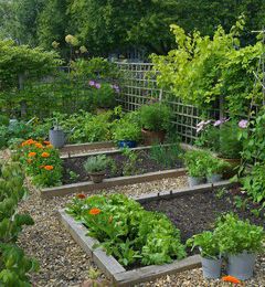 L'utopie est dans le potager