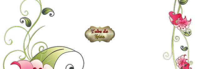 Cadre fleuri 1
