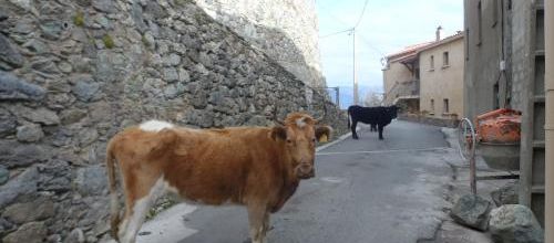 Promenade villageoise