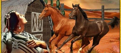 Cowgirl....