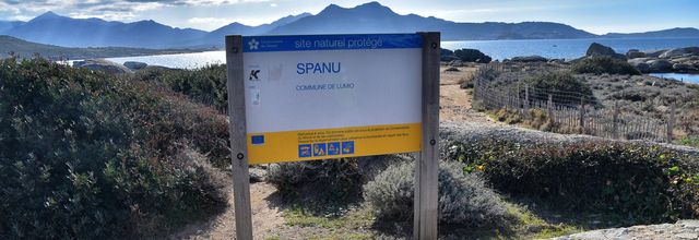 Punta Spanu - Lumio - Corse (2)