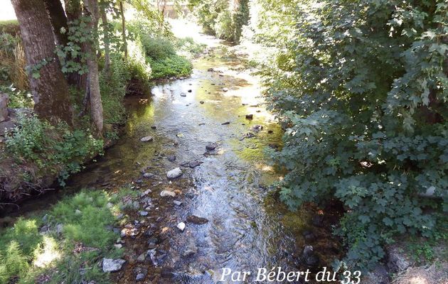 Rivière en reflets 