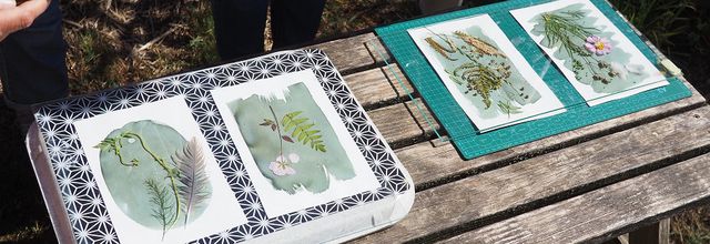 Weekend créatif au terrier : cardage, teinture et cyanotype !