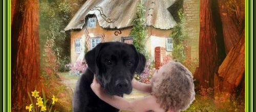  Beaucoup d'amour ...