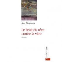 Le bruit des rêves contre la vitre de Axel Sénéquier