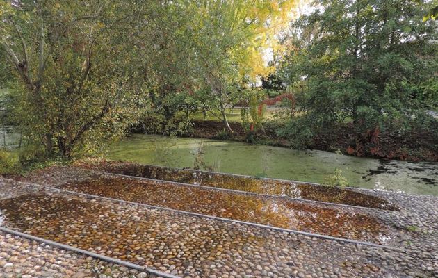 Reflets au Temple sur Lot (47)