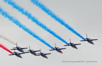 Défilé aérien du 14 juillet 2014 : La Patrouille de France