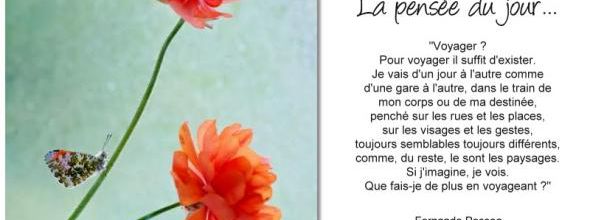 La pensée du jour (107)
