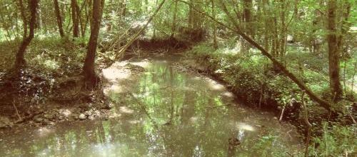 Nature de la Vérité et vérité de la Nature