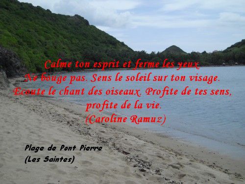 Citations en images ; Calme ton esprit.....