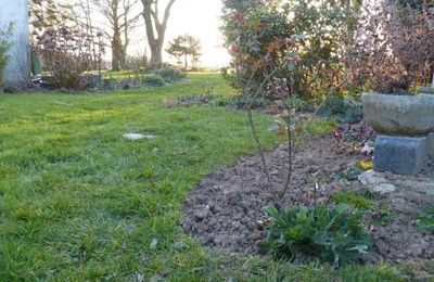 Nettoyages de printemps