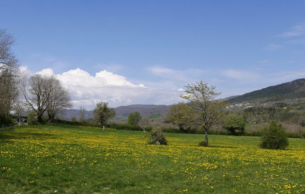 Le 21 avril 2022 : En Valromey - 2